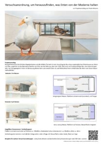 Versuchsanordnung, um herauszufinden, was Enten von der Moderne halten