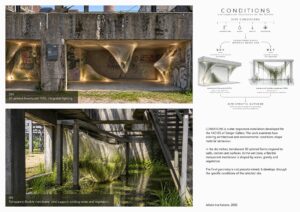CONDITIONS