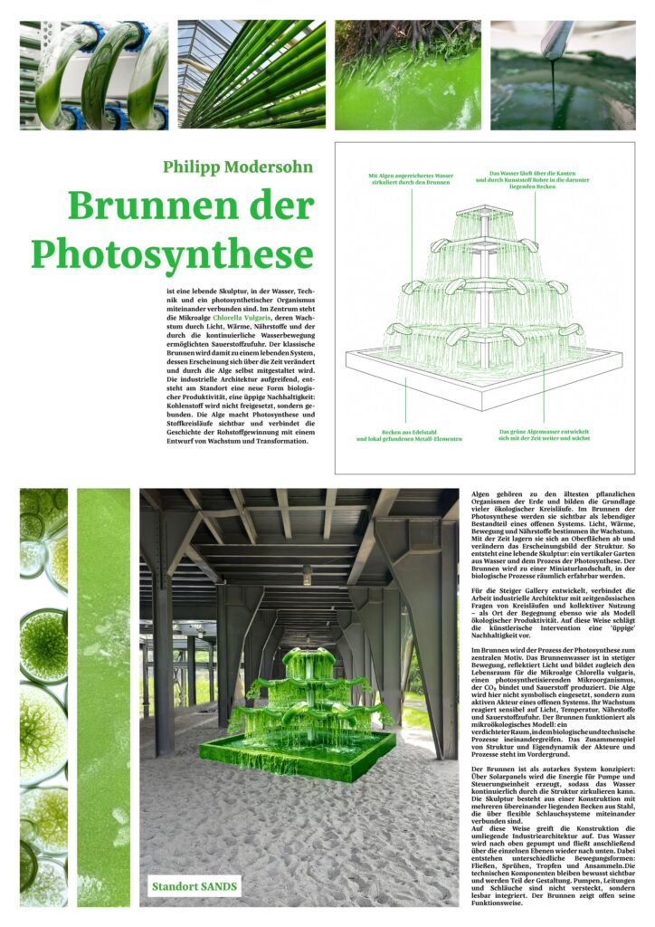 Der Brunnen der Photosynthese